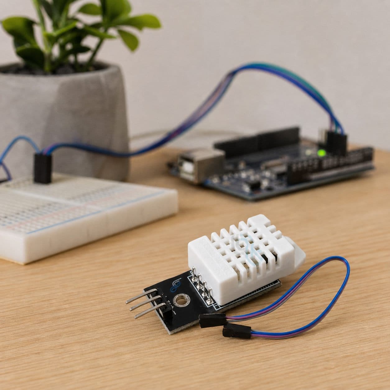 Sensor DHT22 en un escritorio maker junto a una planta y una placa de desarrollo.